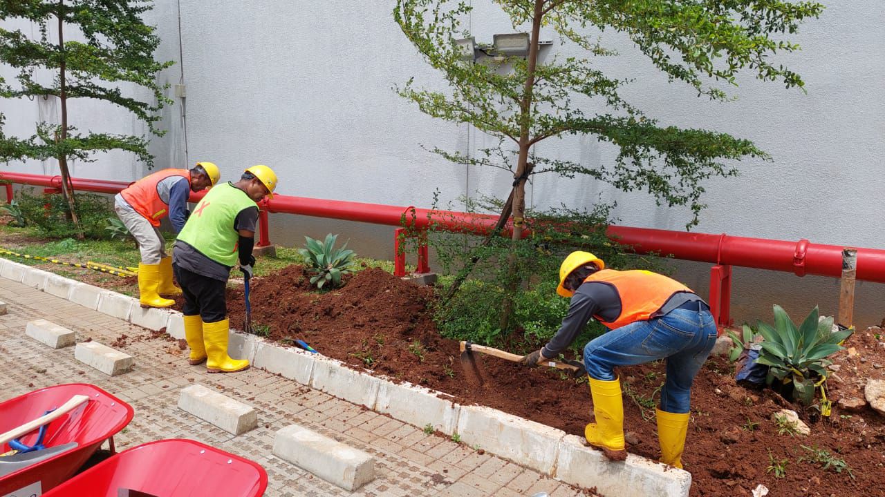 Soil Compaction Heavy Crane - Foto 1